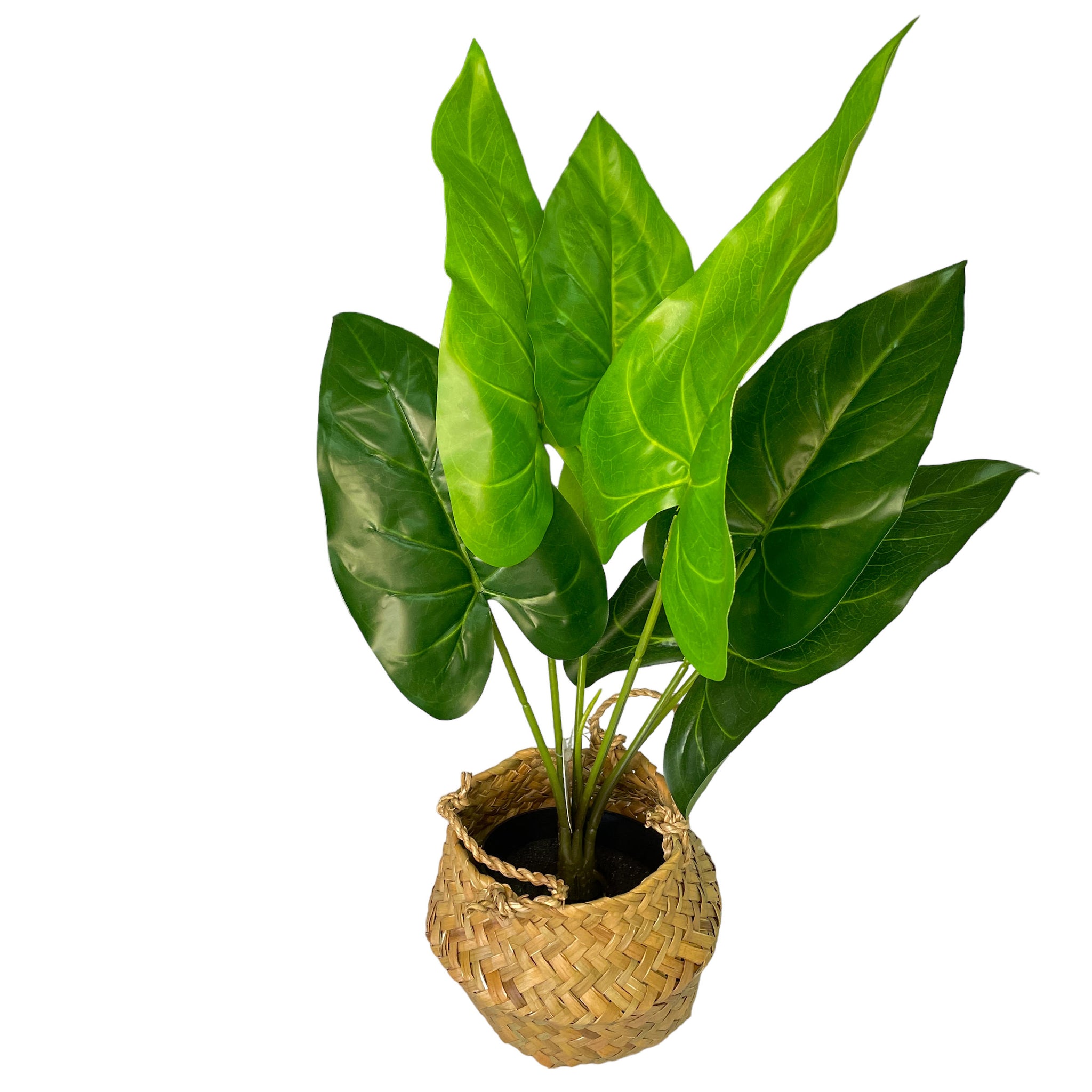 Planta alocasia artificial en canasto 46 cm