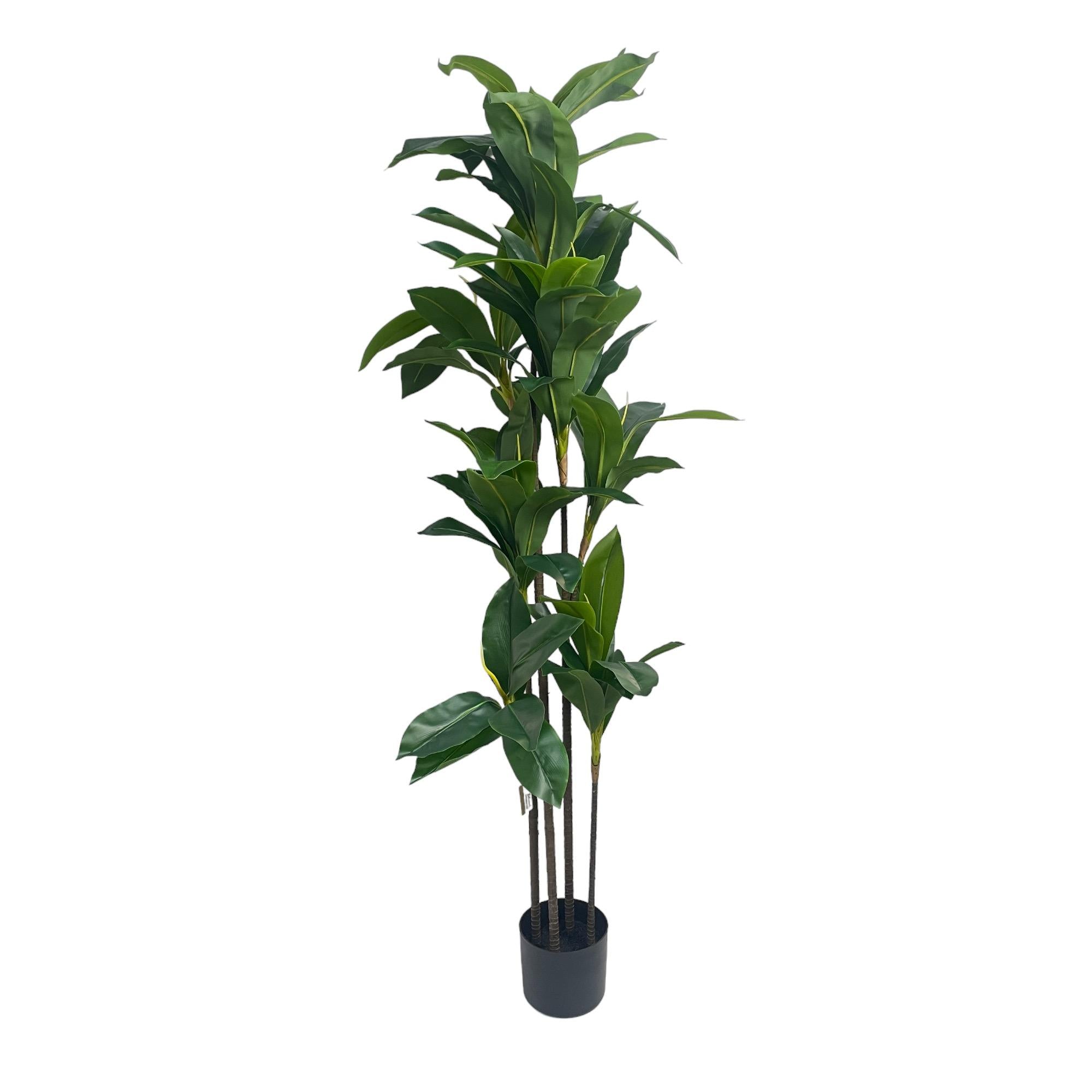 Planta dracaena artificial con maceta 175 cm