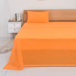 Sabanas Polar 1 Plaza Zinnia