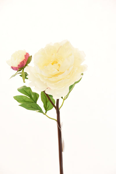 Peonia 54Cm Blanco - blanco