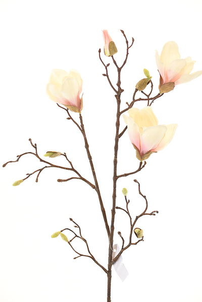 Magnolio 85Cm Crudo - multicolor