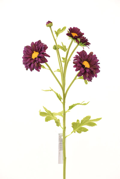 Margarita 66Cm Morado - morado