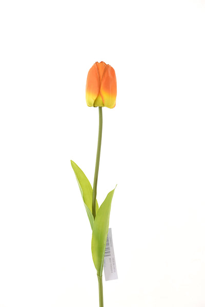 Tulipan 60Cm Naranjo - naranja