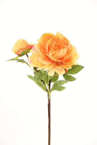 Peonia 54Cm Damasco - naranja