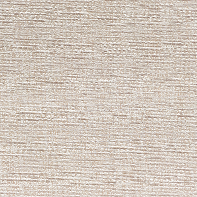 ROLLER SCREEN PLUS DISEÑO ST03 2.50 CM BEIGE - default title