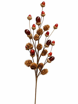 Rama Decorativa Natural con Avellanas 46 cm