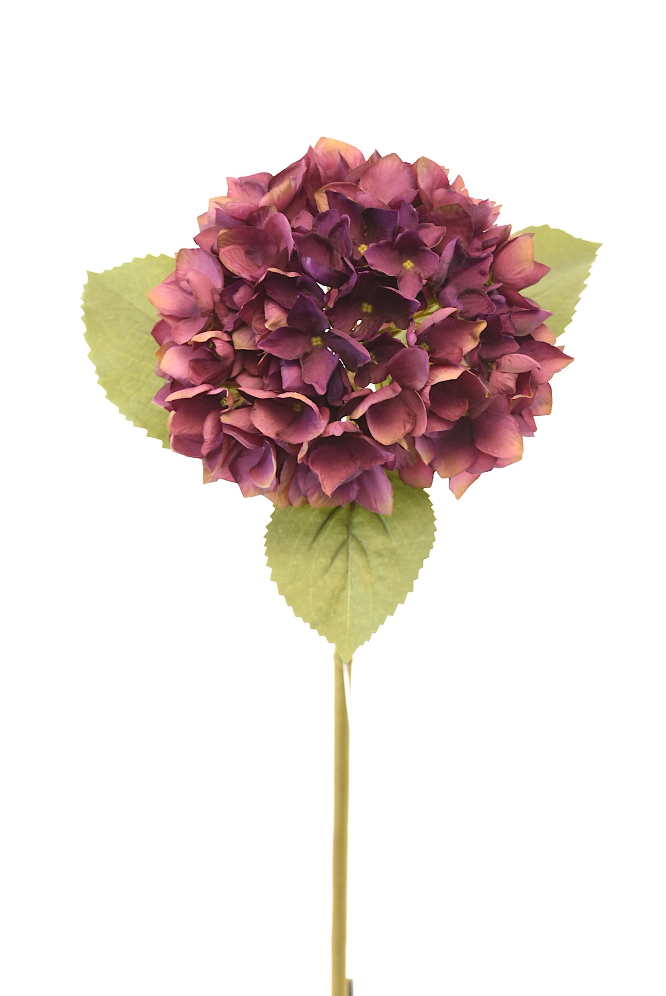 Hortensia 50Cm  Púrpura