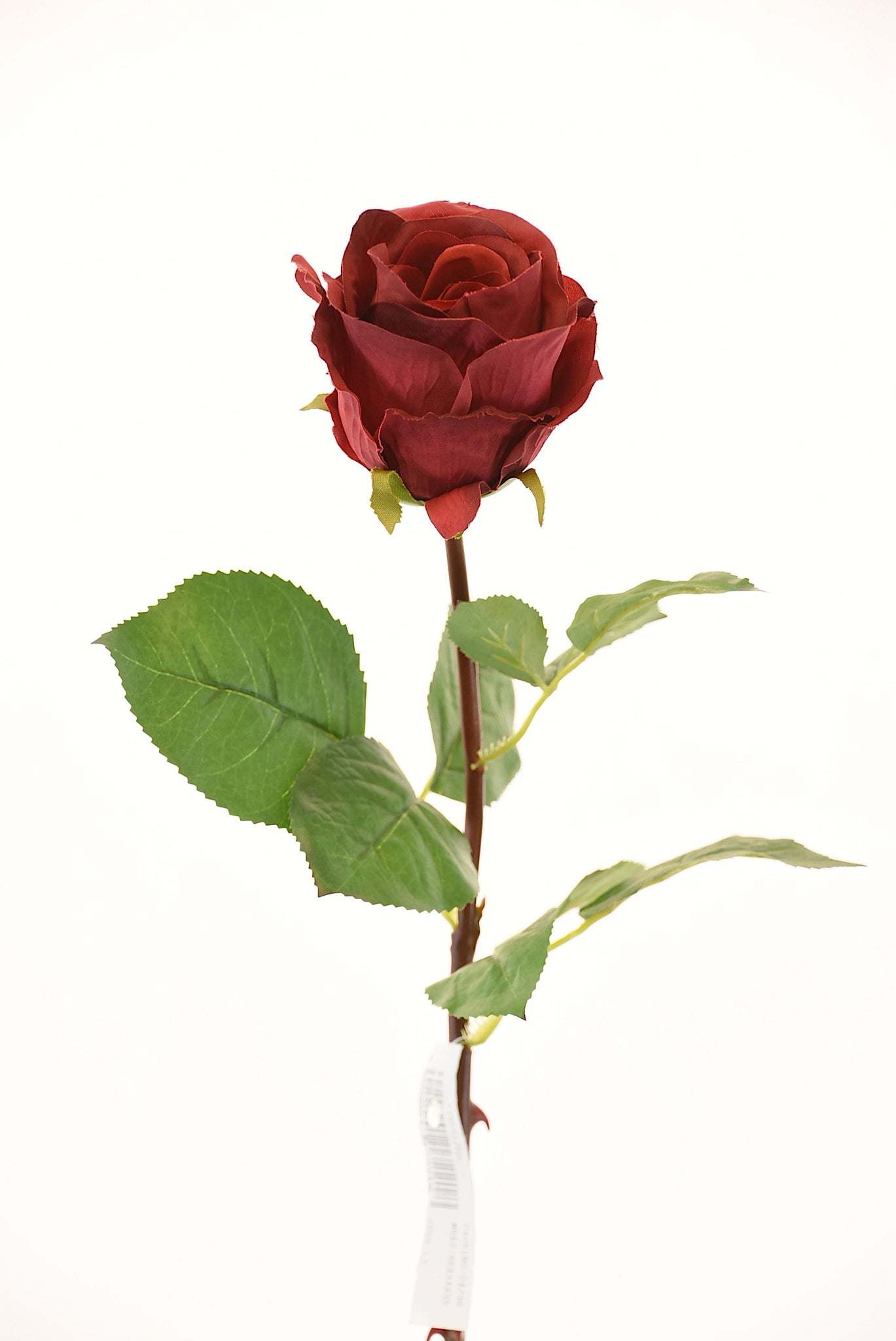Rosa 54Cm Rojo